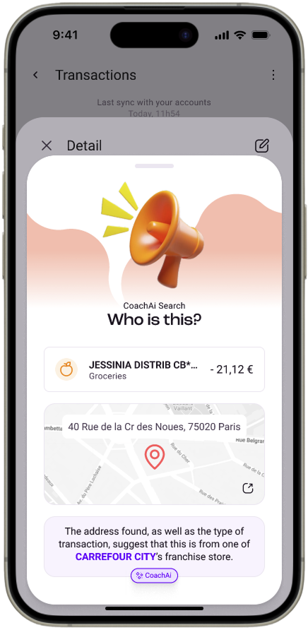 Ask coachai to find what the hell is this transaction